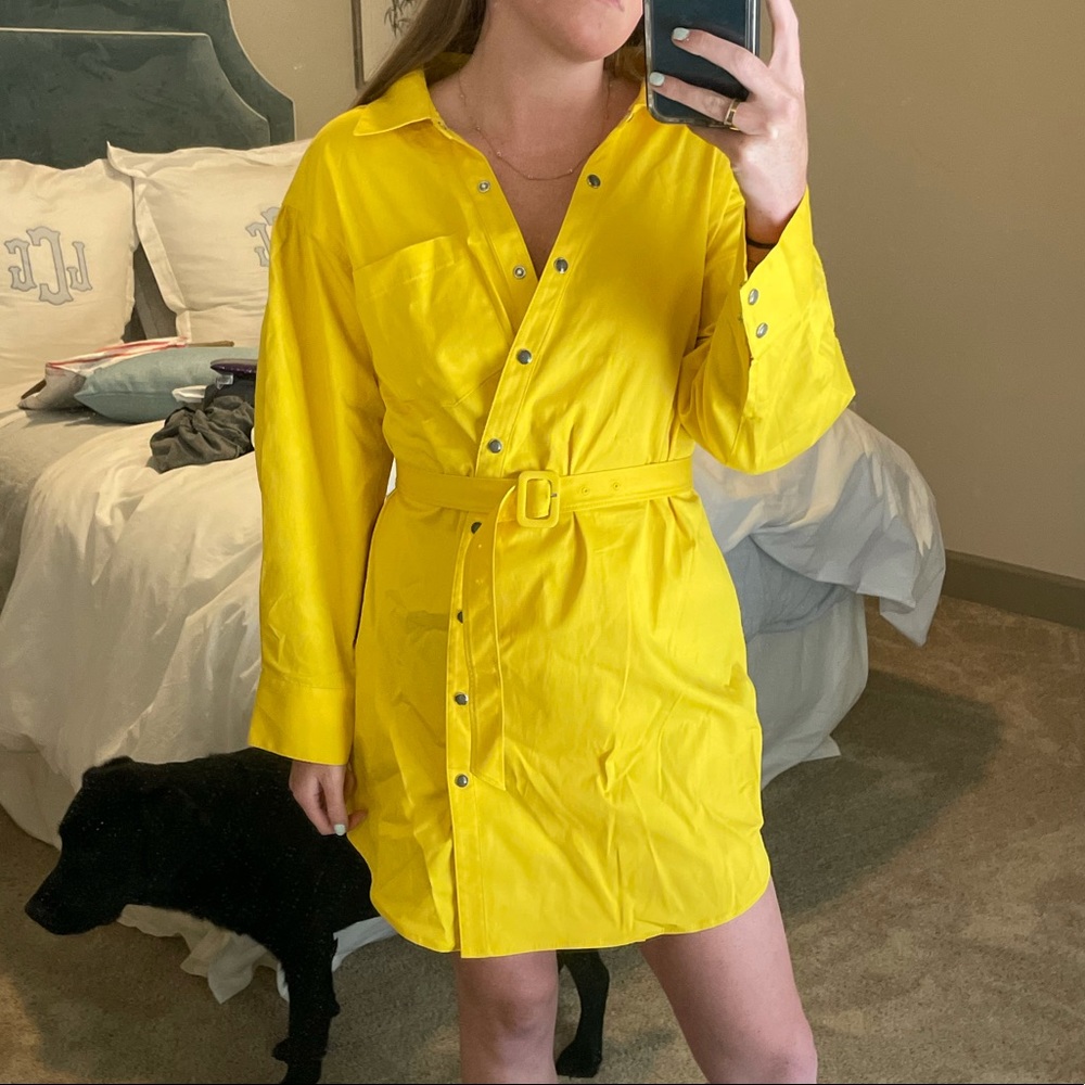 Cinq a Sept Milly Belted Dress